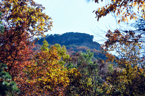 fall colors on a narrow, curvy, dirt road